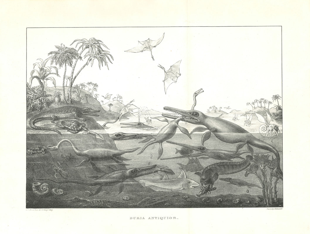 Duria Antiquior c1830  George Scharf  Andrew Edmunds Prints